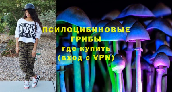 стафф Алексин