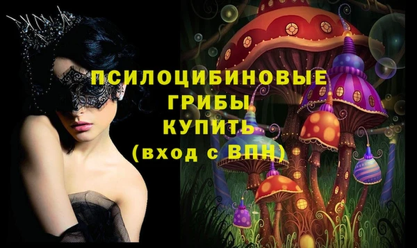 винт Алексеевка